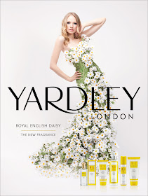yardley classic english fragrances royal english daisy
