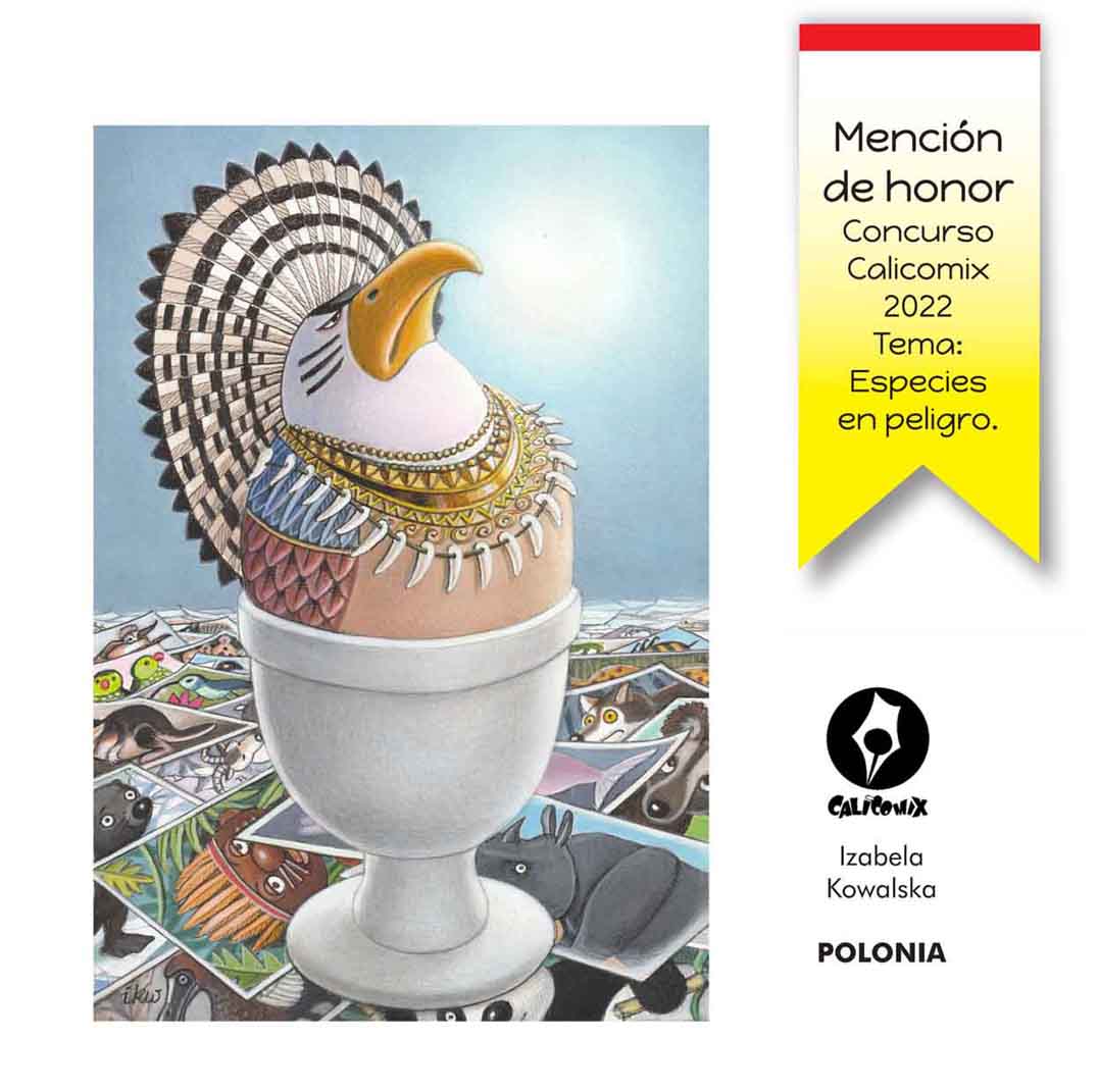 Winners of The 29th Calicomix International Festival in Colombia