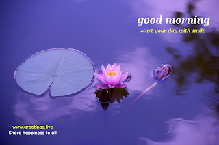 Smile morning wishes with purple flowers image