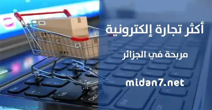 أكثر تجارة إلكترونية مربحة في الجزائر