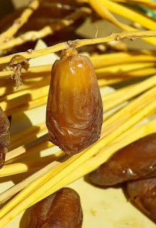 How to eat dates with milk