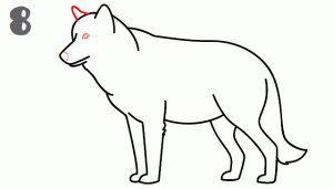 طريقة رسم الذئب في خطوات رسم سهلة