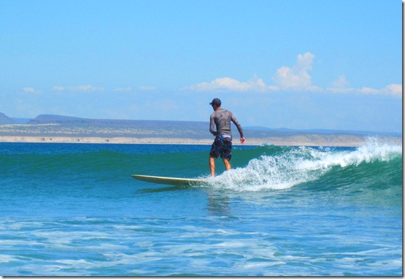 scorpion bay 190