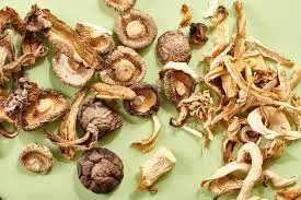 Dried Musrhoom Supplier In Javhar