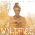 Rachel Platten - Wildfire (ALBUM) (2016) [ITUNES PLUS AAC M4A]