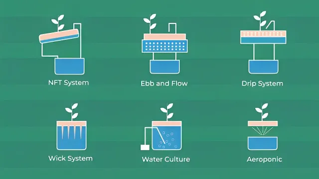Cara Menanam Menggunakan Metode Hidroponik