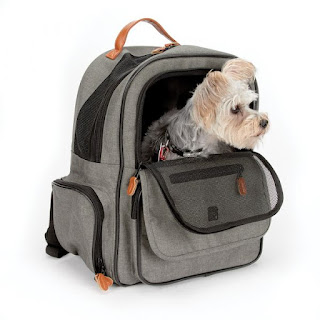 Cruising Companion On The Go Backpack - Posh Puppy Boutique
