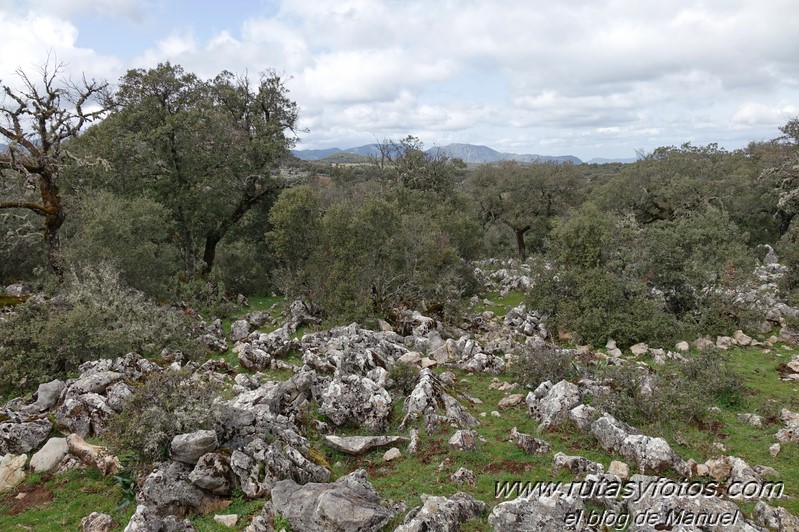 Sierra de Montalate