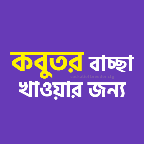 ছবি