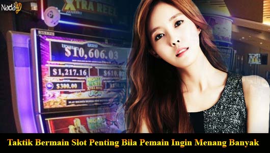 Taktik Bermain Slot Penting Bila Pemain Ingin Menang Banyak