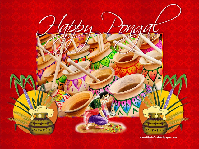 Pongal Still,Photo,Image,Wallpaper,Picture