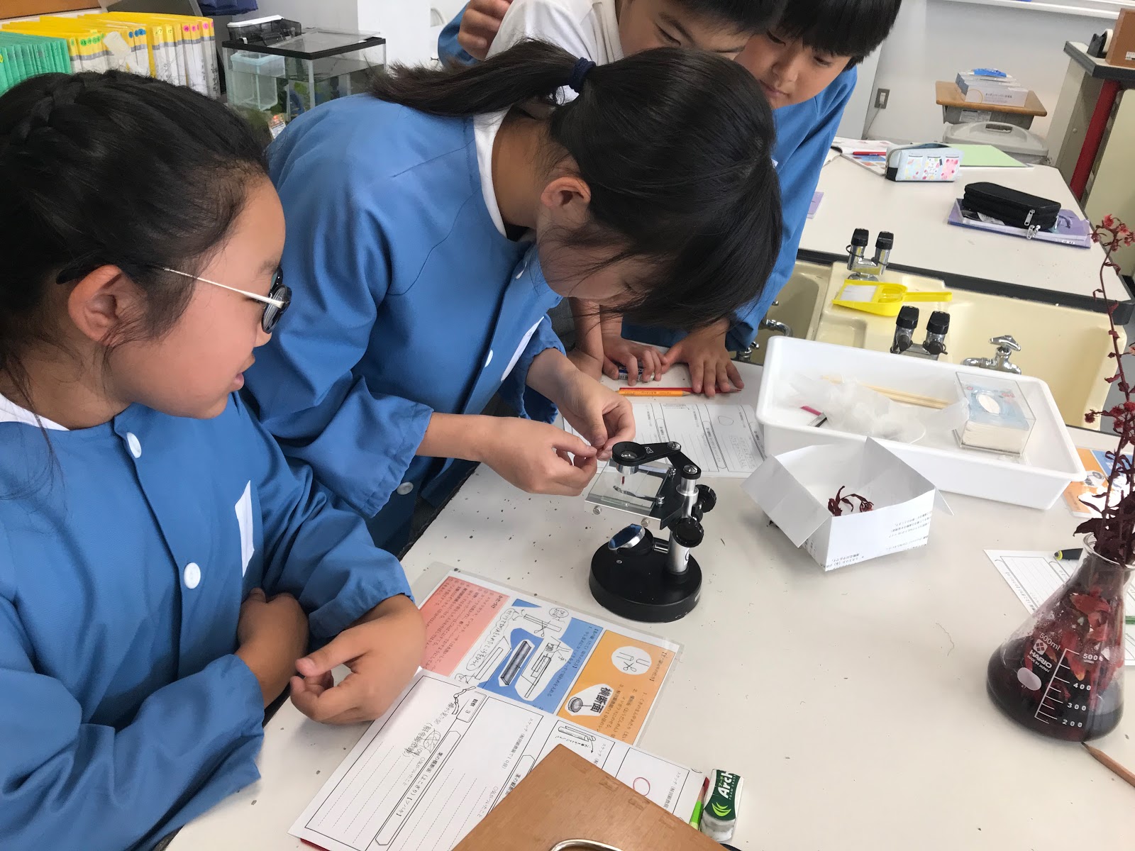 敬愛小学校 ６年生 理科の実験授業