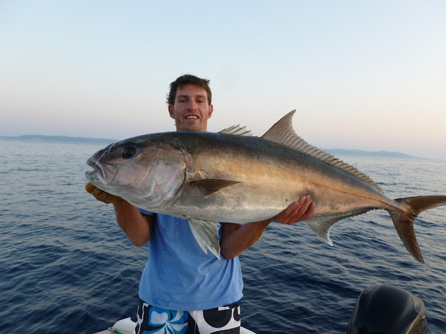 pêche de la sériole, comment pêcher la sériole