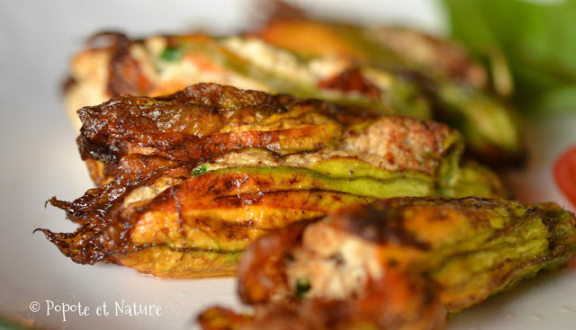 Fleurs de courgette farcies à la ricotta, au thon et aux tomates séchées © Popote et Nature