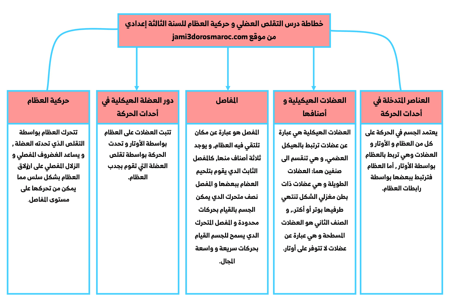 خطاطة درس التقلص العضلي و حركية العظام للسنة الثالثة اعدادي