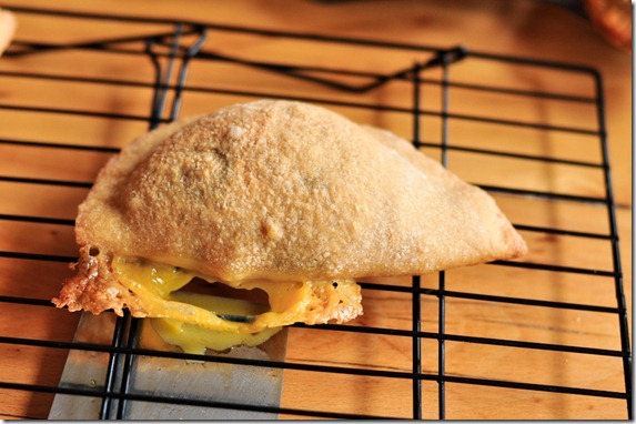 calzone Vegan-5262