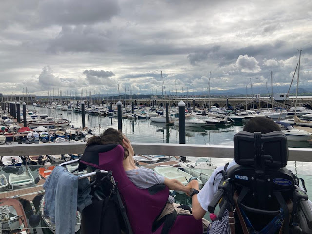 Una chica y un chico, de espaldas, en sillas de ruedas, mirando el puerto lleno de barcos