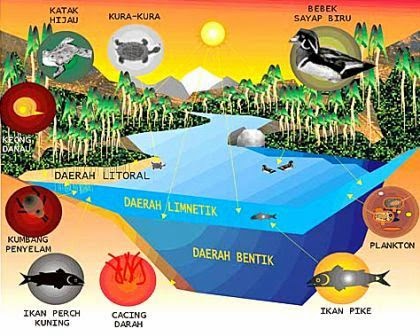 Macam-Macam Ekosistem Perairan (Akuatik)  Artikelsiana