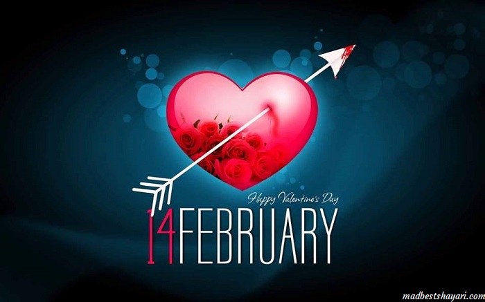 Valentines Day Shayari Images
