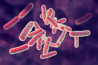 bacteria and how they protect themselves from plasma treatment,bacteria self-protection from plasma treatment,bacteria and plasma treatment