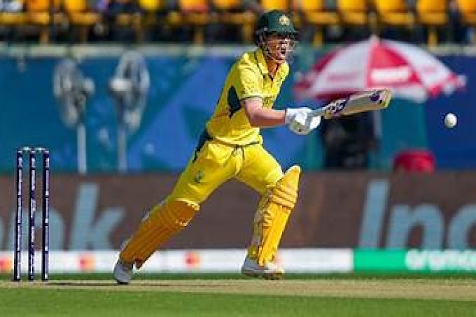 ICC World Cup, Australia beat New Zealand by 5 runs | News Hub