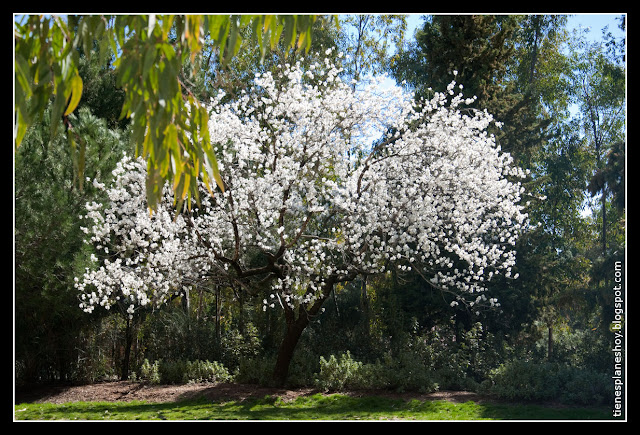 Quinta de los Molinos