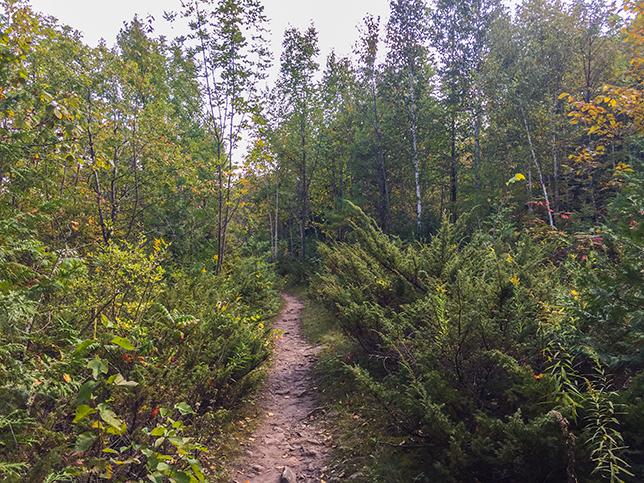 Ice Age Trail Sturgeon Bay Segment at Potawatomi  State Park