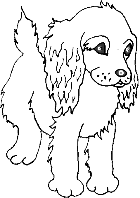 Small Dog Breeds Coloring Pages 6