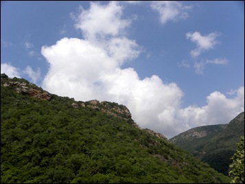 DSCN5425