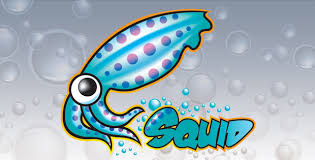 Cara Blokir situs Dengan Squid3 Proxy