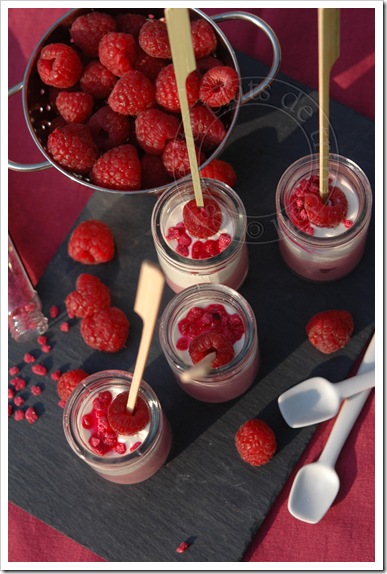 pannacotta framboise3