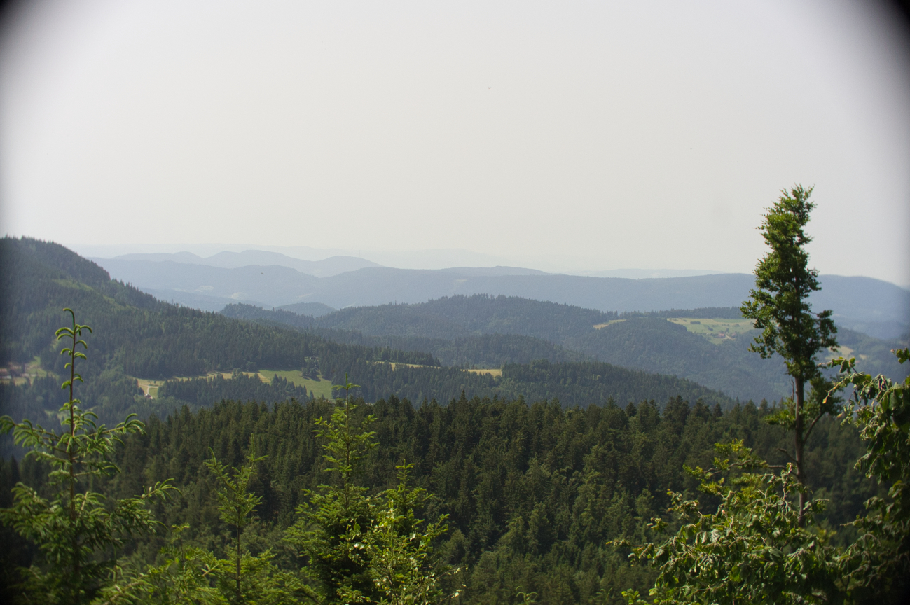 Täglich ein Bild — 18.06.2022 — 169.Tag — Bild #169 — Blick von der Schwarzwaldhochstraße nach Süden und die AI (Artifical Inelligenz) uns in die Irre führen kann