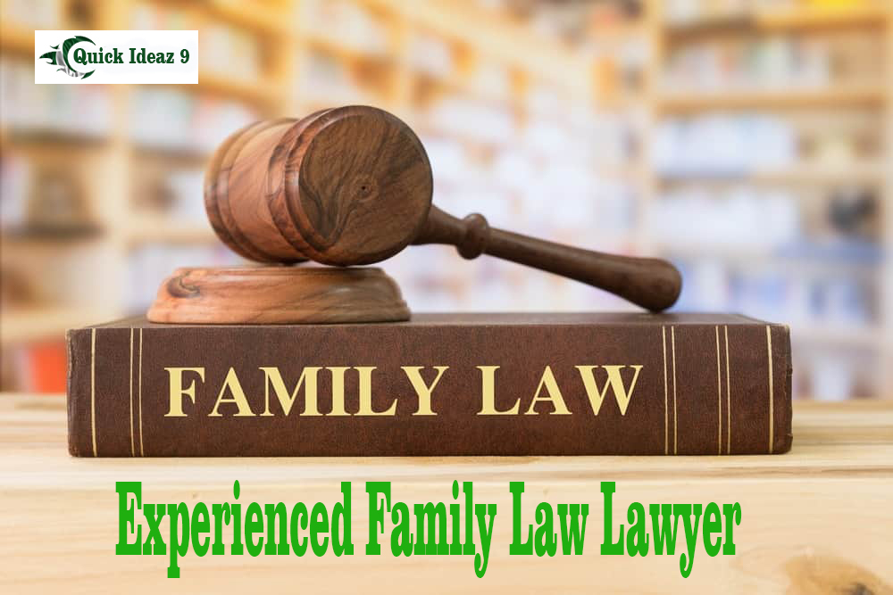 Family Law Lawyer