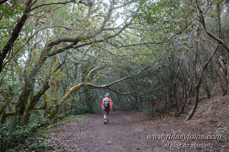 Sendero de los Sentidos - Sendero de los Enigmas