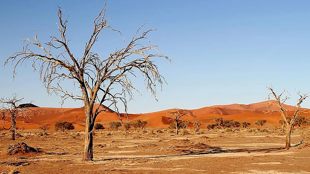 Kalahari Desert