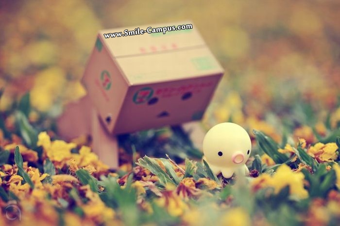 Cute Inspiring Boxes pictures