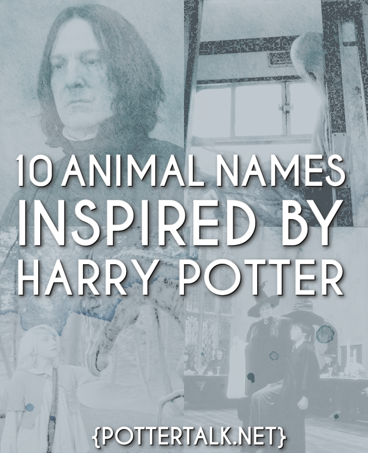 Potter Talk 10 Favorite Songs From The Harry Potter Movies