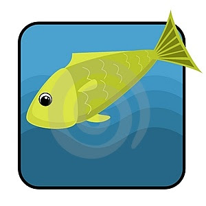 Fish Wallpapers