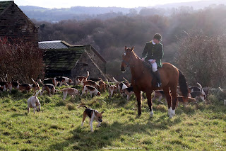 Rockwood Harriers