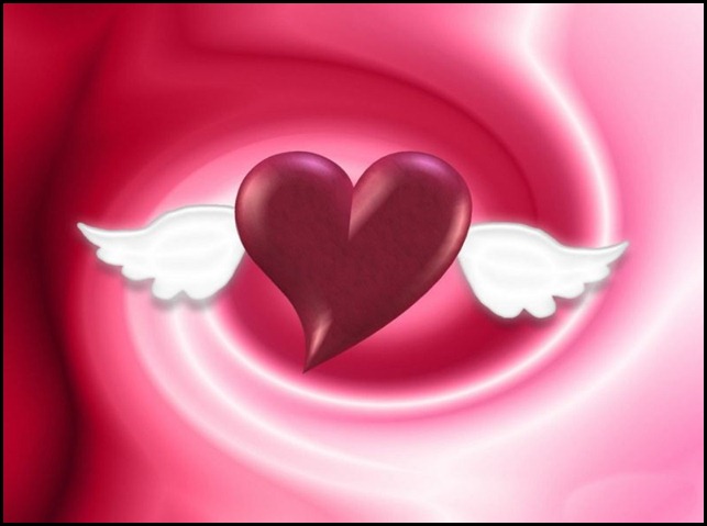Alas de Amor_800