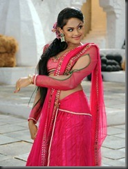 Karthika-In saree_hot