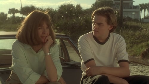 La habitación de Marvin 1996 pelicula en español gratis
