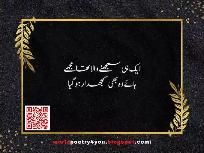  Best Deep Urdu 2 Lines Poetry| Deep Poetry About Life in urdu - worldpoetry4you