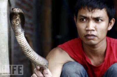 Snake Burger Cultural Preferences In Indonesia