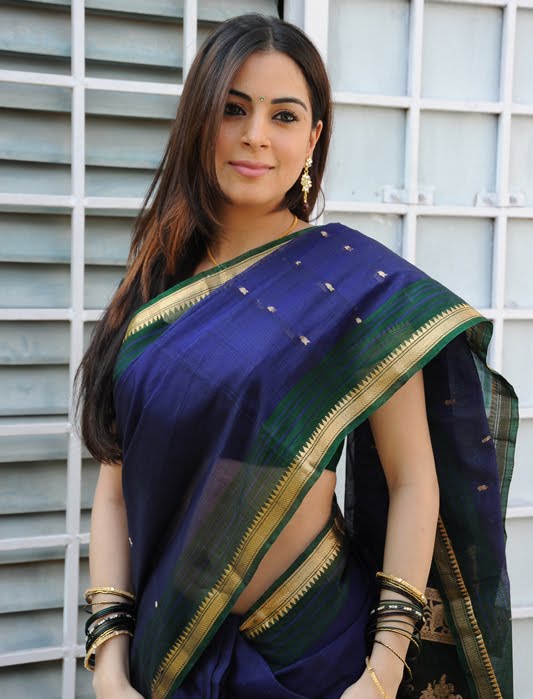 shraddha arya in saree unseen pics