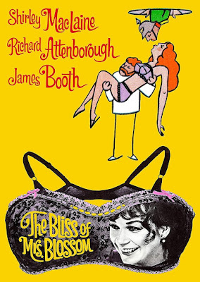 The Bliss Of Mrs Blossom Dvd