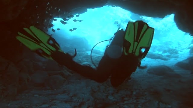 Key Largo Diving