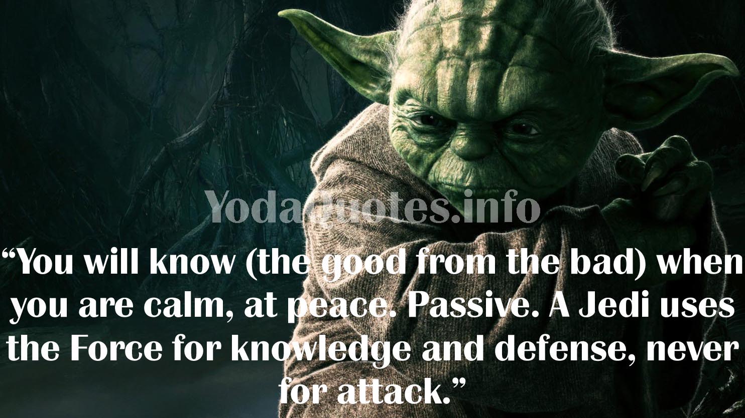 Star Wars Quotes  Famous  Yoda  Quotes  Best Yoda  Quotes  