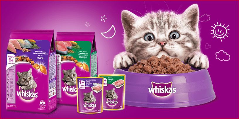 whiskas untuk kucing menyusui