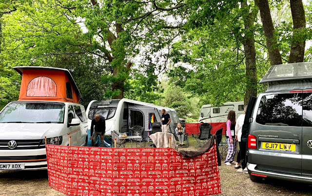 camping in the New Forest